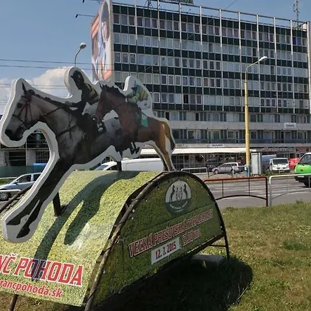 Saris * Прешов